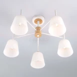 Потолочная люстра Eurosvet Fresco 70085/5 белый (220V)