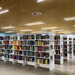 Профиль PLS-LOCK-H25-2000 ANOD (Алюминий) 016386 Arlight