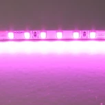 Светодиодная лента цветного свечения 24V, розовый Lightstar 420512