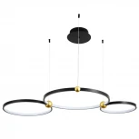 Подвесной светильник Divinare Amadeo 1123/04 SP-75 (LED, 220V, на тросе, кольцо)