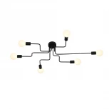 Потолочная люстра ST Luce Ano SL419.442.06