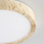 Настенно-потолочный светильник Citilux Бейсик CL738122N (регулировка яркости, LED, 220V, круглые, IP40)