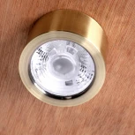 Накладной точечный светильник Favourite Deorsum 2806-1U