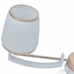 Подвесная люстра Arte Milano Florentia-2457 302457/3 Wh/Gd (220V, на цепи)