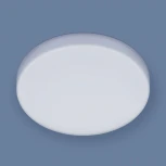 Потолочный светильник круглый Elektrostandard DLS043 / DLR043 (LED, 220V, круглые)