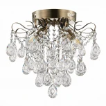 Потолочная люстра Evoluce Kame SLE160102-04