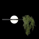 Настенный светильник Jardin 10121W/A Loft It (LED, 220V, шар)