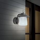 Настенный фонарь уличный Oasis Light 2642