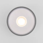 Потолочный светильник уличный Elektrostandard Light LED 35141/H серый (220V, круглые, IP65)