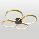 Потолочная люстра Lussole Lowell LSP-7351 (LED, 220V)