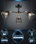 Потолочная люстра Wedo Light Aniko WD3637/3C-BK-FGD-BK
