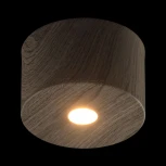 Потолочный светильник круглый DeMarkt Иланг 712010201 (LED, 220V)