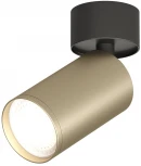 Спот DK2029-BG Denkirs (220V, круглые)