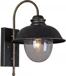 Настенный фонарь уличный Reluce 08300-9.2-001SJ BKG (220V, фонарь, IP54)