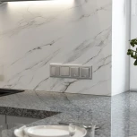 Перекрестный выключатель двухклавишный (серебряный матовый) Werkel W1123065 (a064030)