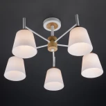 Потолочная люстра Eurosvet Fresco 70085/5 белый (220V)