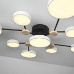 Потолочная люстра с пультом на штанге LED Lu Carte LC-11-1715