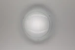 Настенно-потолочный светильник Citilux 918 CL918081