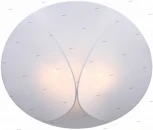 Потолочный светильник ST Luce Tonico SL360.552.04