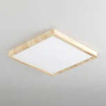 Настенно-потолочный светильник Citilux Бейсик CL738K242V (регулировка яркости, LED, 220V, IP40)