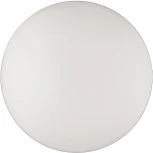 Настенно-потолочный светильник Sonex Lobio 3055/DL