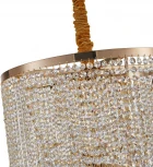 Подвесная люстра Favourite Phoenix 2903-21P