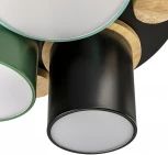 Потолочный светодиодный светильник Ritter Scandia 52074 0