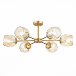 Потолочная люстра Evoluce Pallo SLE155412-06