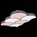 Потолочный светильник светодиодный с пультом Reluce 01218-0.3-06LED (220V)