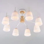 Потолочная люстра Eurosvet Fresco 70085/8 белый (220V)