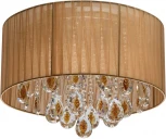 Потолочная люстра MW-Light Жаклин 465016704