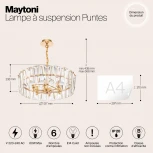Подвесная люстра Maytoni Puntes MOD043PL-06G (220V, на цепи, круглые)