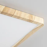 Настенно-потолочный светильник Citilux Бейсик CL738K242V (регулировка яркости, LED, 220V, IP40)