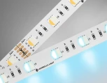 Светодиодная лента RGB с холодным белым светом Ambrella Illumination GS4403 5050 60Led 10W/m 24V IP20 RGBW+6500K 5m
