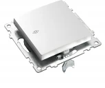 Переключатель одноклавишный (серебро) Stekker Катрин 39576