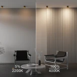 Встраиваемый светильник Maytoni Onda DL024-12W-DTW-BMG (LED, 220V)