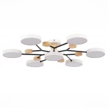 Потолочная люстра на штанге Evoluce Faema SLE6006-502-07 (LED, 220V, круглые)