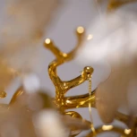 Подвесная люстра MW-Light Лайма 467014208 (220V, на тросе, листья, ветки)