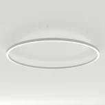 Подвесной линейный светильник LED SP-LINE-HANG-ARC-O3535-D1500-124W Day4000 (WHITE, 230V) (Arlight, Металл) 034013(2)