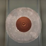 Настенный светильник Grammy 20189 Cloyd (LED, 220V, круглые)