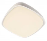 Уличный потолочный светильник Deko-Light Aurigae 348121 (LED, 220V, IP65)