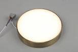 Потолочный светильник круглый Aployt Evon APL.0113.29.24 (LED, 220V, круглые)
