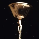 Подвесная люстра MW-Light Каролина 367012606