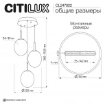 Подвесной светильник Citilux Signature CL247022