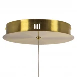 Подвесная люстра светодиодная Lightstar Corinto 637093 (220V, на тросе)