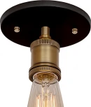 Потолочный светильник влагозащищенный 60 вт Loft It Factory Filament LOFT3103C