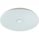 Потолочный светильник Sonex Roki Muzcolor 4629/EL