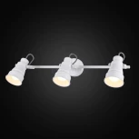 Спот на штанге Citilux Бейкер CL541530 (220V, выключатель, круглые)