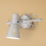 Спот Citilux Дункан CL529512