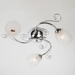 Потолочная люстра Eurosvet Roksana 9677/3 хром